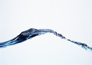 水滴背景清水液體滴水清水水花水滴水背景圖片素材 模板下載 0.52mb 其他大全 標志丨符號