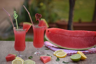 清涼一夏 自制水果冰沙與玻璃飲品，盡享健康美味