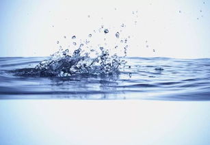 沖出水面的透明液體水馬與液體壁紙的震撼美學(xué)